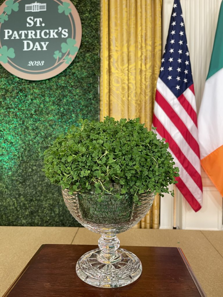 The Dingle Crystal Bowl of Shamrocks presented by Taoiseach Leo Varadkar to US President Joe Biden at the White House.